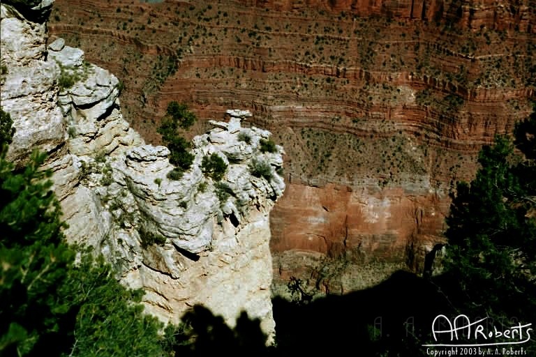 Grand Canyon  9.jpg - Watch MY step!